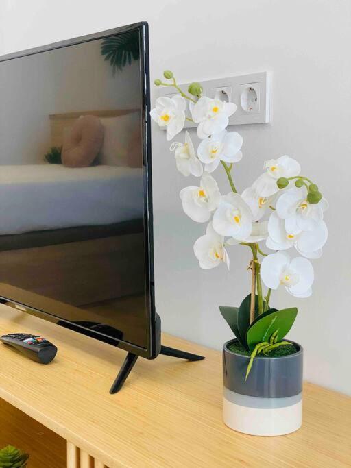 Nice & Cozy Flat Close The Beach バレンシア エクステリア 写真
